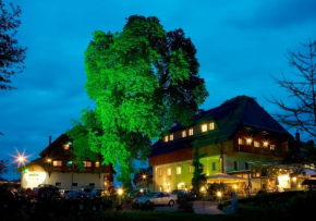 Hotel Zollner